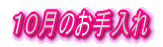 Ŝ 