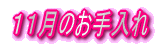 Ŝ 