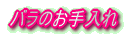 ô 