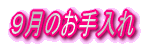 Ŝ 
