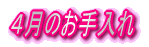 Ŝ 
