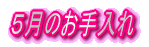 Ŝ 